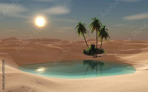 Beautiful oasis in the sandy desert, palm trees near the water, sunset over the sand, 3d rendering 