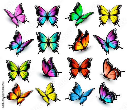 Colorful butterflies set. Vector.