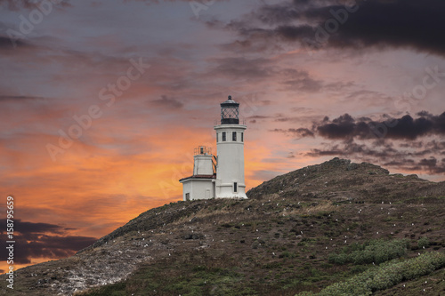 Anacapa island lighthouse with nesting seagulls and sunset sky at Channel Islands National Park in Ventura County California. 