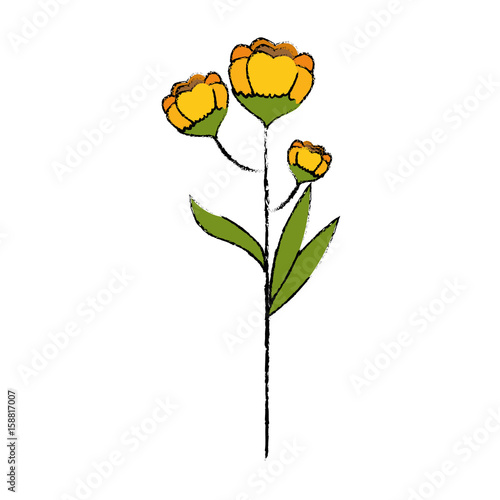 Beautiful ornamental flower icon vector illustration graphic design