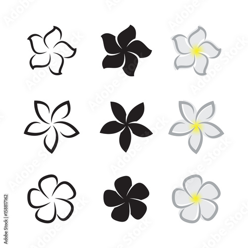 Vector of tropical flowers frangipani (plumeria) on white background.