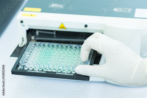 Scientist is putting ELISA plate to measure OD with micro plate reader 