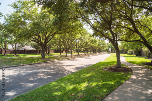 Side view of asphalt road, street in suburban residential area with lot of green trees in Katy, Texas, US. America is an excellent green and clean country. Environmental and transportation background.