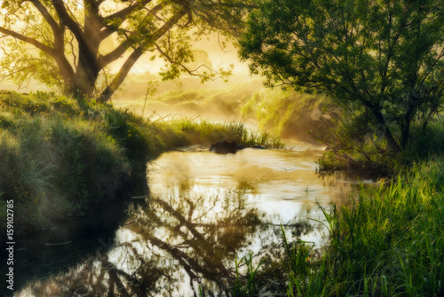 river. Spring morning by the picturesque river, golden rays in the fog