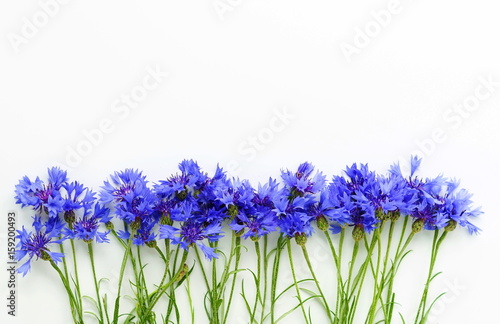 Bouquet bue flowers cornflowers on white background. top view. copy space