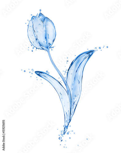 Flower tulip made of water splashes isolated on white background