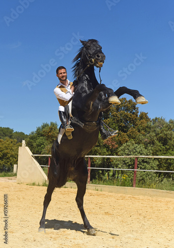 man and rearing stallion