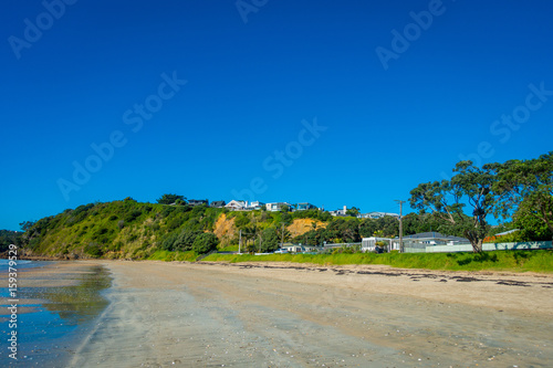 White Sand Beach on Waiheke Island, New Zealand with a beautiful blue sky in a sunny day with some houses behind
