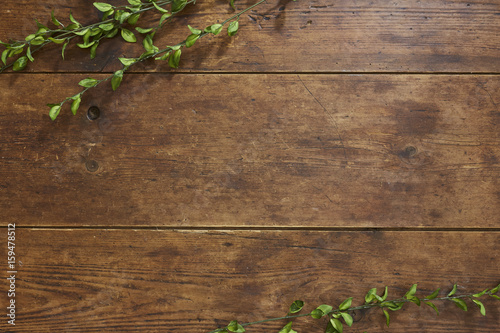 Tree branch on rustic wood background