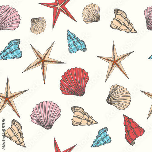 Seamless pattern with hand drawn seashells. Summer design for wallpaper, web page background, surface textures, print for fabrics