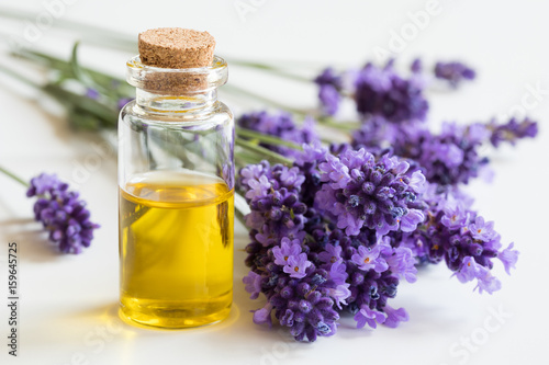 A bottle of essential oil with fresh lavender twigs