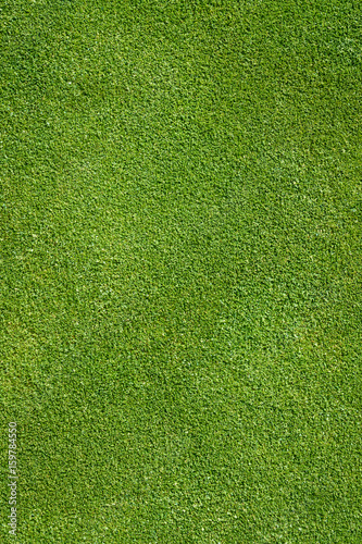Top view of golf course green as a background 