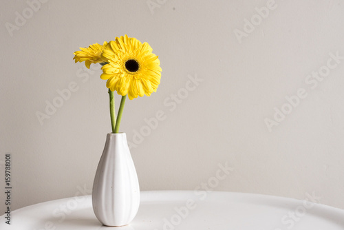 Close up of yellow gerberas in small white vase on table against neutral background
