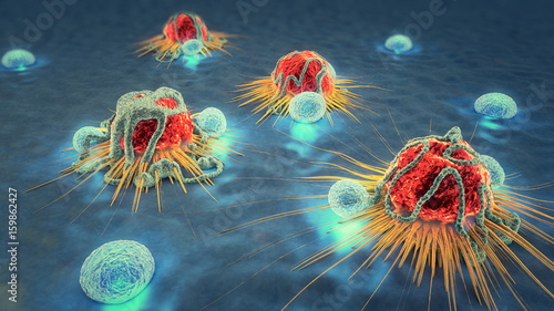 3d illustration of cancer cells and lymphocytes