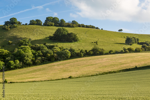 Green Hillside in Sussex