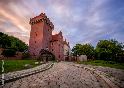 Zamek królewski w Poznaniu na wzgórzu Przemysła