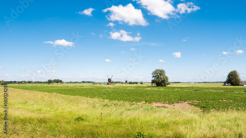 Panorama of polder and two windmills, Netherlands