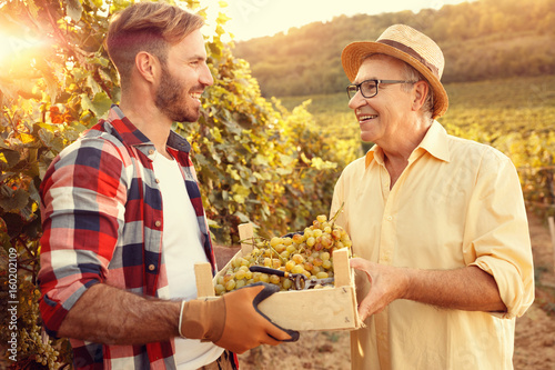 vineyard family tradition - Father and son looking at grapes.