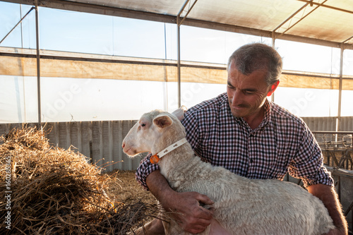 Shepherd with lamb at the farm