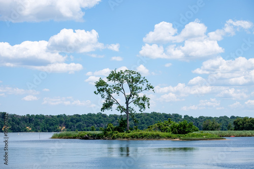 Lone tree on an island in the middle of the water