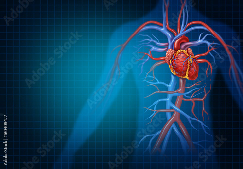 Cardiology And Cardiovascular Heart Concept