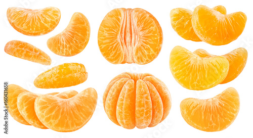 Isolated citrus segments. Collection of tangerine, orange and other citrus fruits peeled segments isolated on white background with clipping path