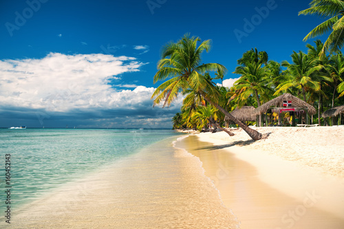 Tropical beach on Saona Island, Dominican republic