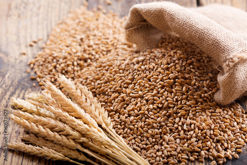 wheat ears and grains