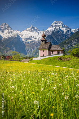 Scenic alpine landscape, blooming meadow with snow-covered peaks in the background, Salzburger Land, Austria