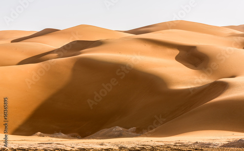 sand duns in liwa desert