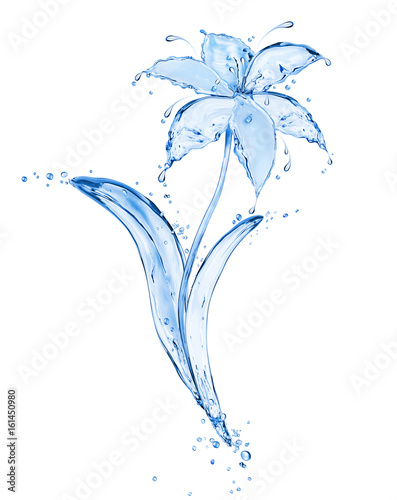 Błękitny kwiat robić świeżej wody pluśnięcia odizolowywający na białym tle