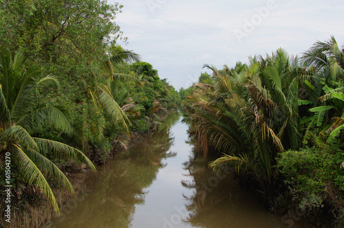 Small canal in Mekong Delta.