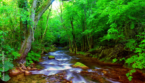 Fast mountain river flowing among mossy stones and boulders in green forest. Carpathians,