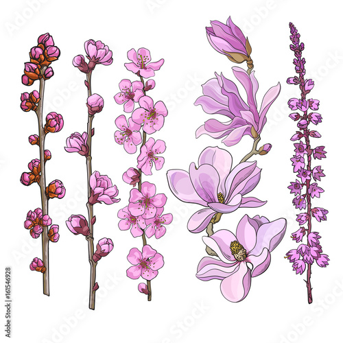 Set of hand drawn pink flowers - magnolia, apple and cherry blossom, heather, sketch vector illustration isolated on white background. Realistic hand drawing of twigs branches stems with pink flowers