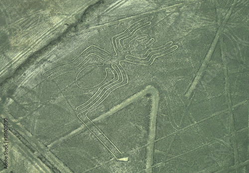 The Nazca Lines in Peru, here you can see the Spider