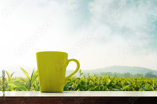Matcha green tea cup present over plantation organic farm, Morning scene and fog covering mountain landscape, Low angle