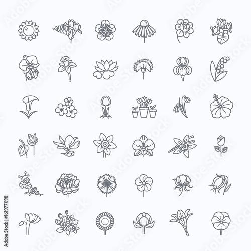 Flower Icon Set - Vector Illustration