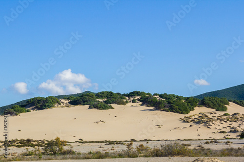 Dune di Piscinas, Sardegna, Arbus