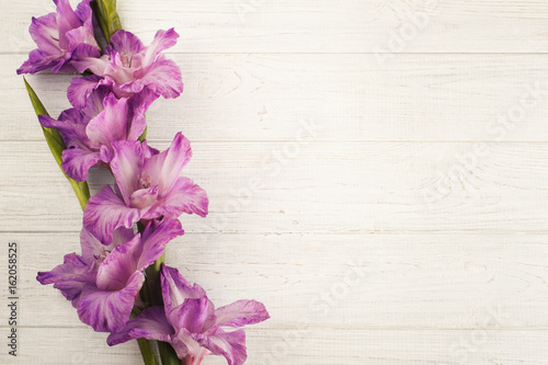 Purple gladiolus on white table