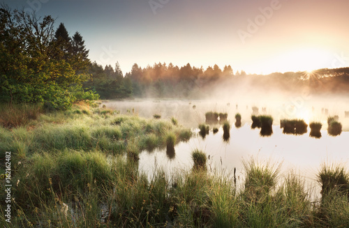 summer sunrise over wild swamp