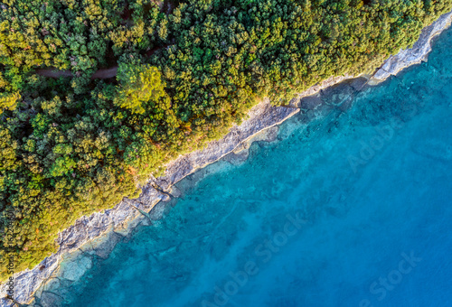 Coastal area with blue clear water and forest on land - aerial view taken by drone