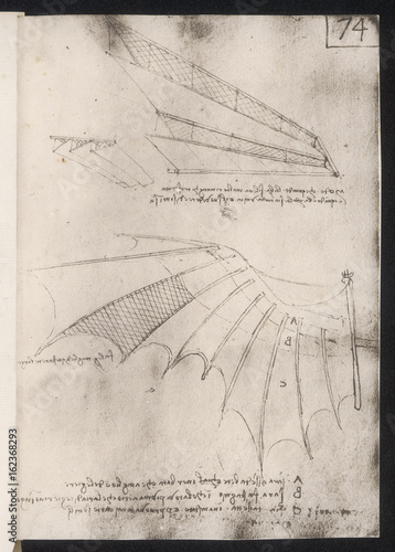 Leonardo Wings. Date: circa 1500