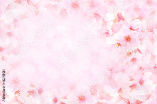 Spring cherry blossom frame, toned, springtime blossoming flower background, pastel and soft floral card