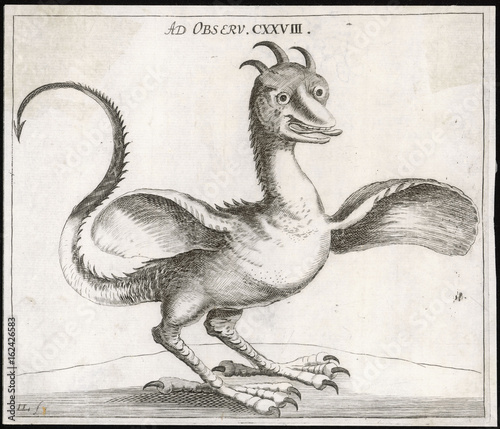 Folklore: Basilisk. Date: 1671