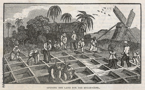 Planting in Antigua. Date: 1833
