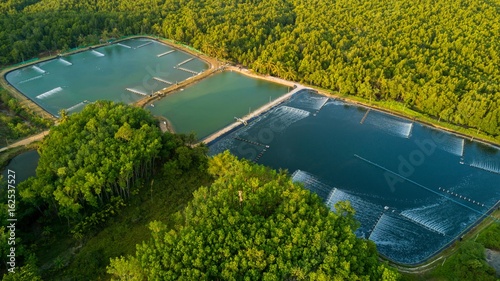 Shrimp farms aerial view