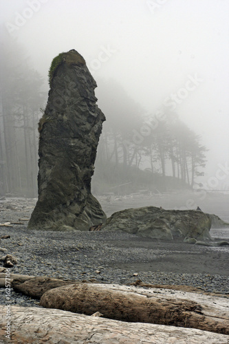 Sea stack in fog at Ruby Beach in Olympic National Park, Washington
