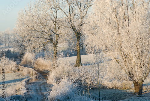 landschap in zuid-Limburg met rijp