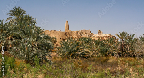 The Siwa oasis between the Qattara Depression and the Egyptian Sand Sea in the Western Desert, nearly 50 km (30 mi) east of the Libyan border, Wahat Siwa, Egypt