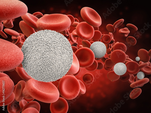  white blood cells with red blood cells